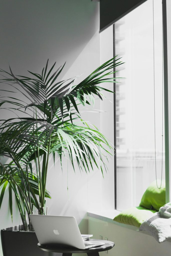 For Unsplash and Grovemade